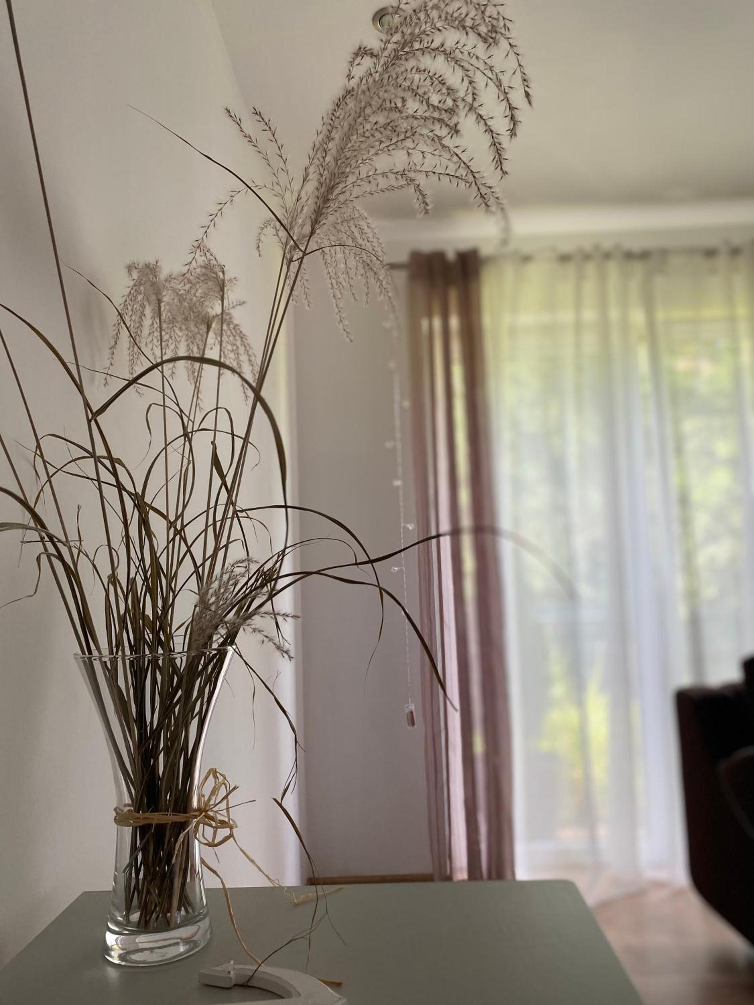 Borkowka Villa Choczewo Bagian luar foto